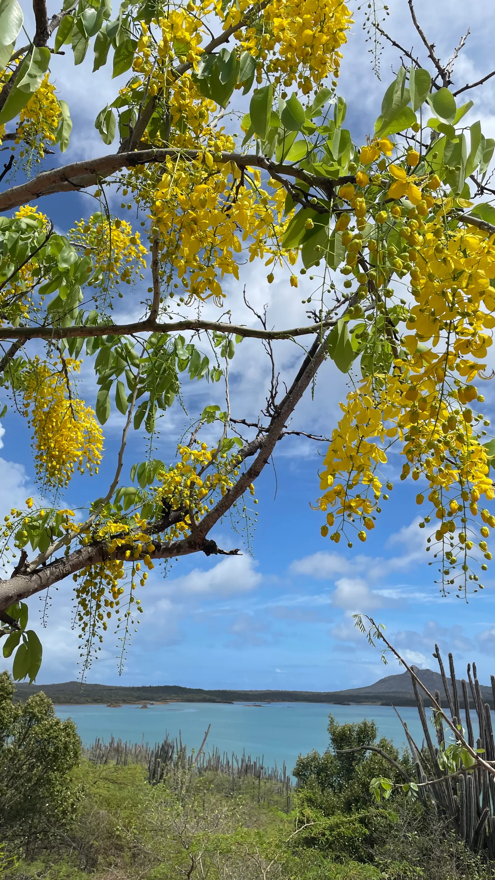 Bonaire